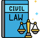 Civil & Criminal Litigation